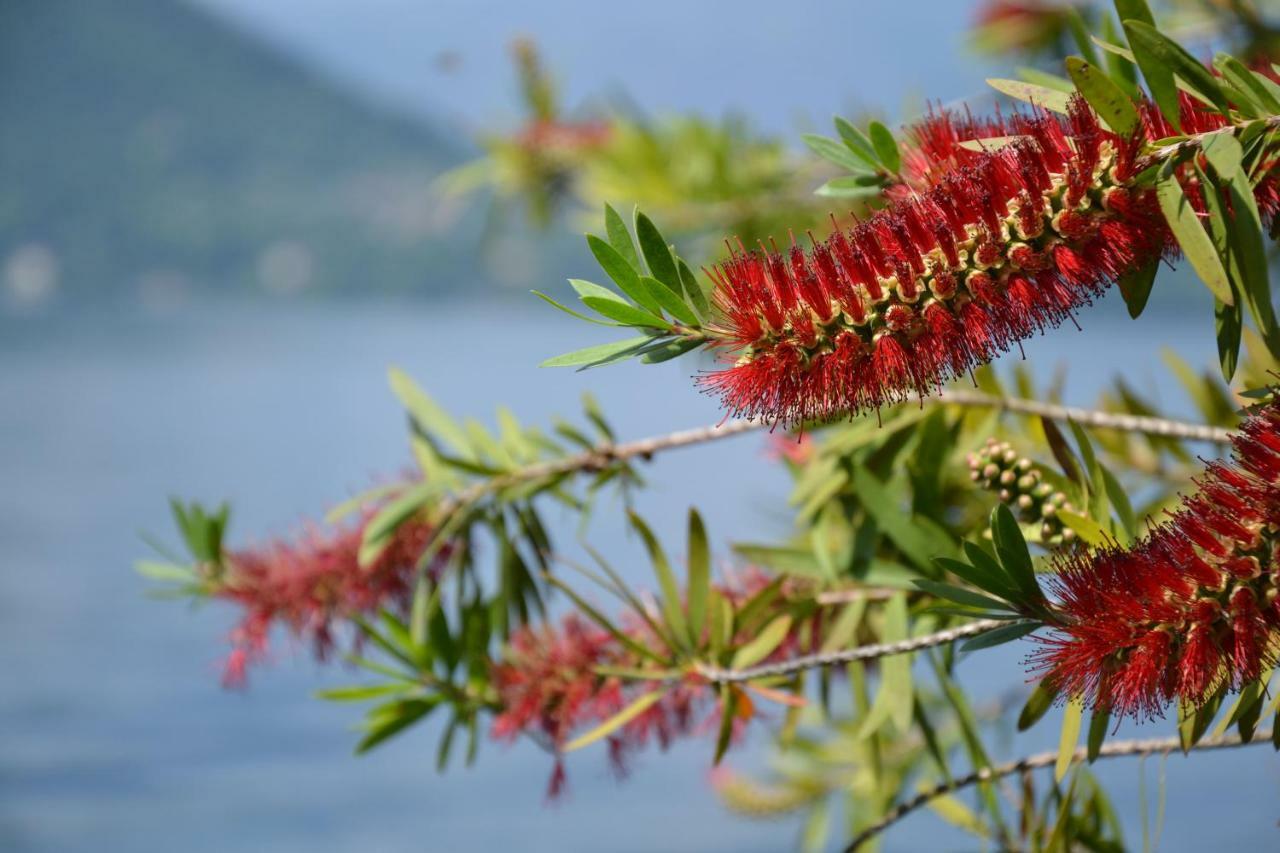 La Casetta Varenna Buitenkant foto
