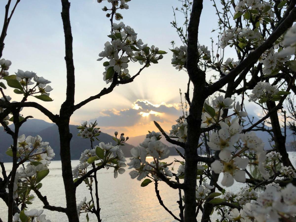 La Casetta Varenna Buitenkant foto
